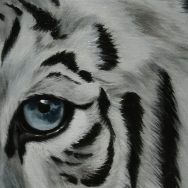 Safety Detail 3