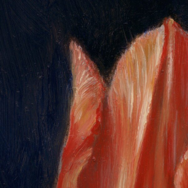 Velum Tulipae detail1