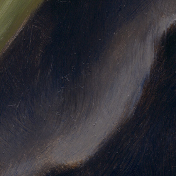 Velum Tulipae detail4